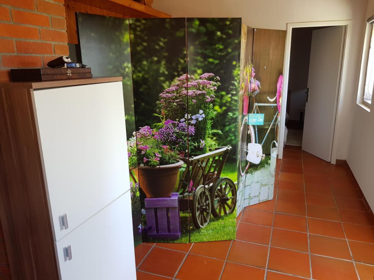 Casa Do Adro Hotel Виана до Кастело Екстериор снимка